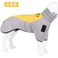 Gray-yellow