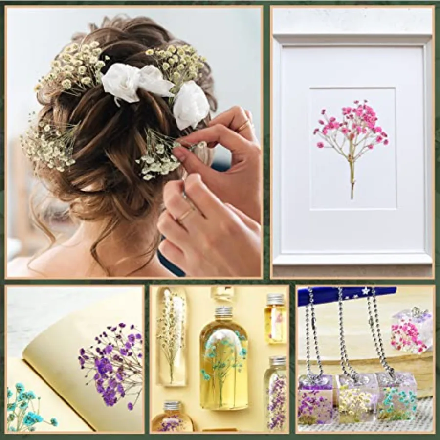 ดอกยิปโซฟิล่าแห้ง 200 ชิ้น ดอกยิปโซฟิล่าอบแห้ง กิ๊ปโซฟิล่าอัด กิ๊ปโซฟิล่าช่อธรรมชาติ กิ๊ปโซฟิล่ากิ่งสำหรับงานแต่งงาน