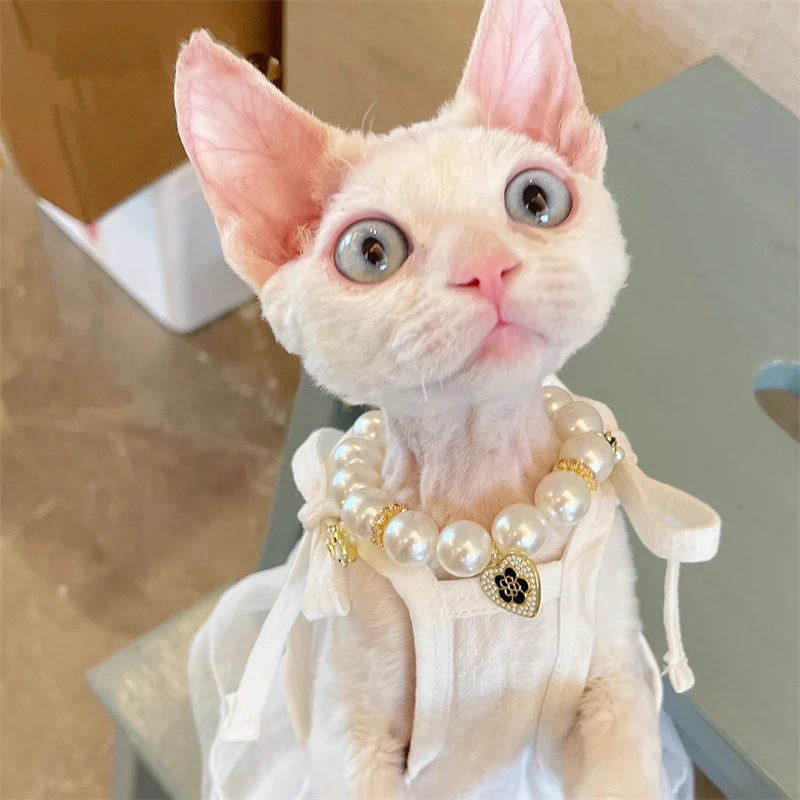 ملابس الحيوانات الأليفة فستان أبيض بأشرطة تشيهواهوا ملابس كلب وقطط مالطية صغيرة #2