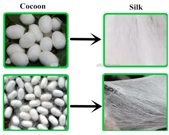 Silkworm cocons turn on the silk machine cocon opening machine silk carding machine