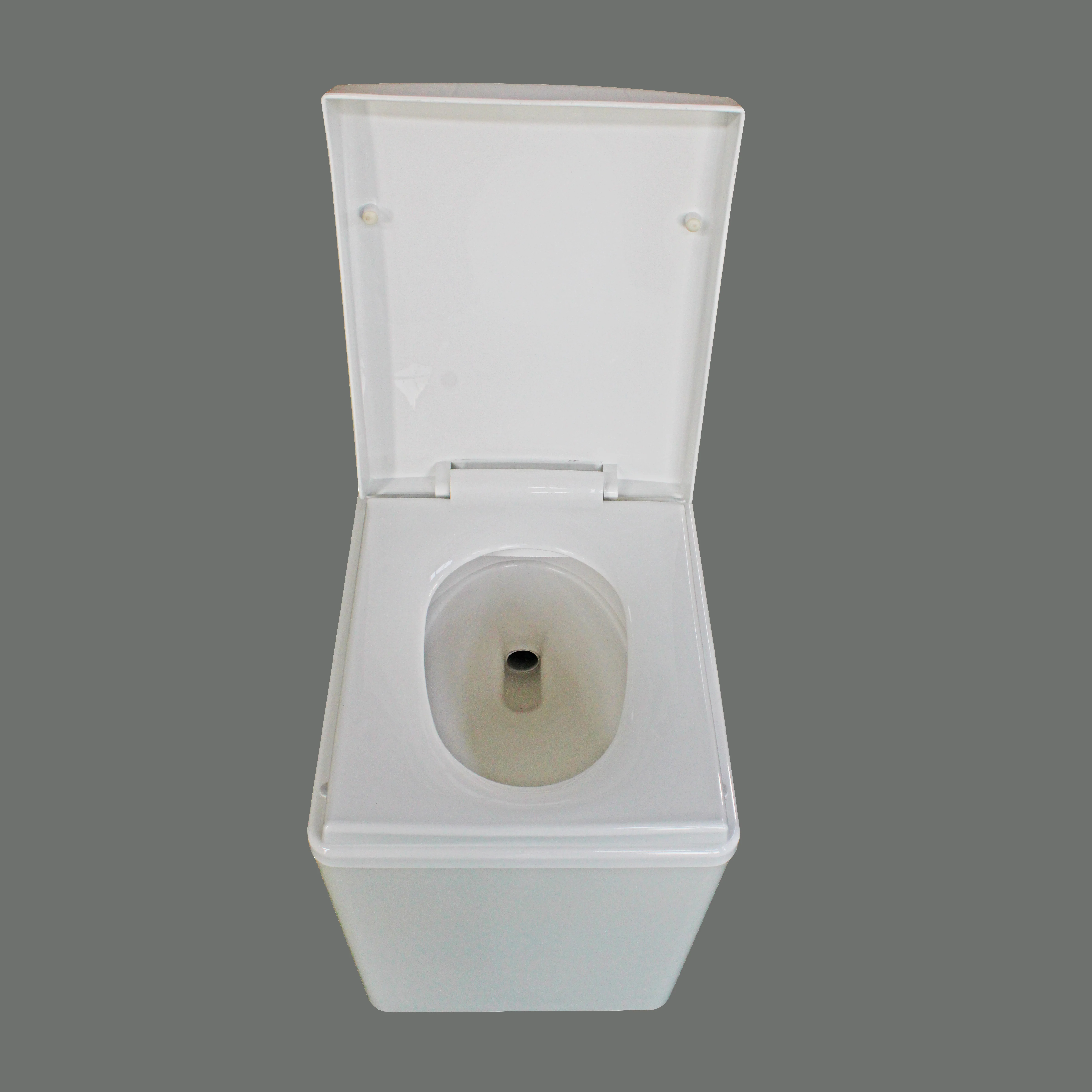 

Modern Auto Flush Negative Pressure Toilet for Sustainable Living