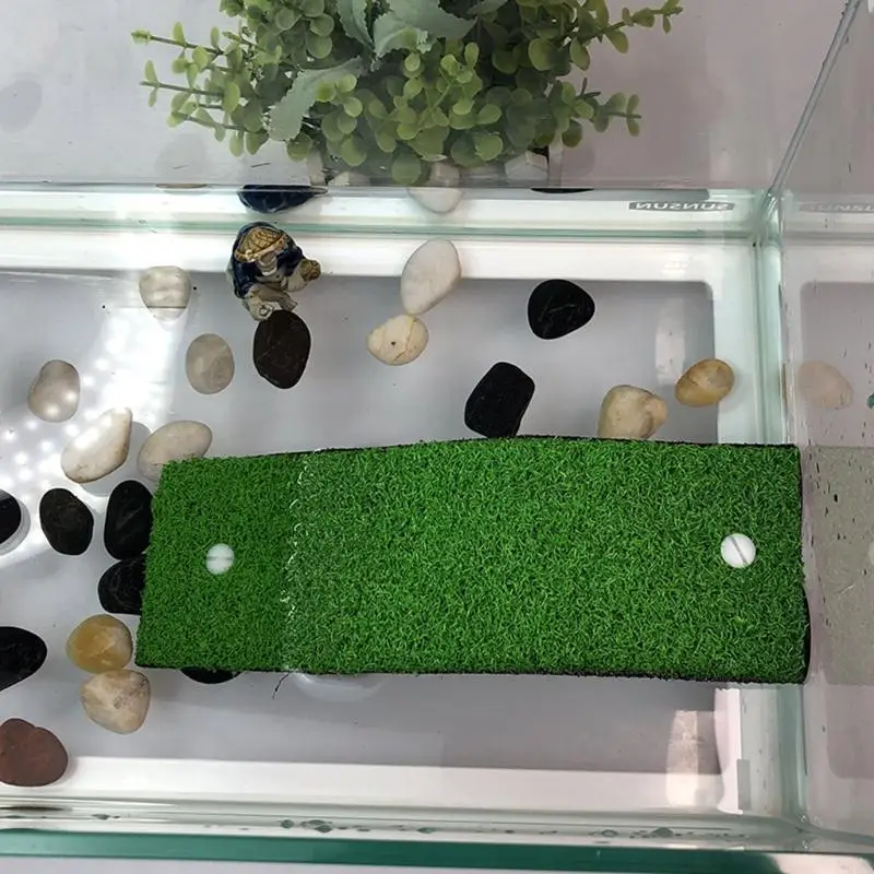 G92C for Turtle Platform Simulation Natural Lawn Habitat Sunbathing Resting for Play