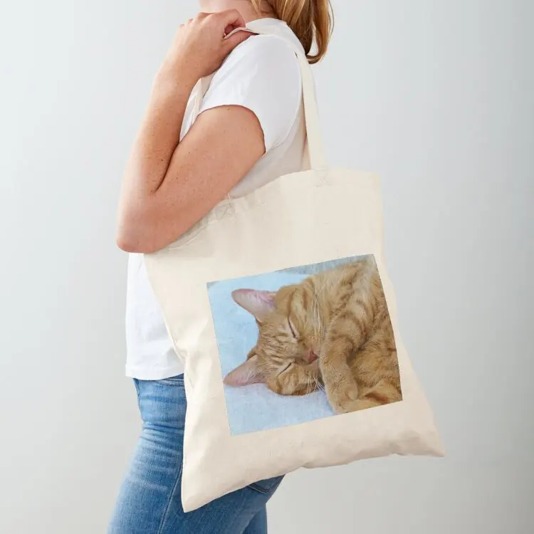 Sleeping Cat Tote Bag Gift bag Cloth bag reusable shopping