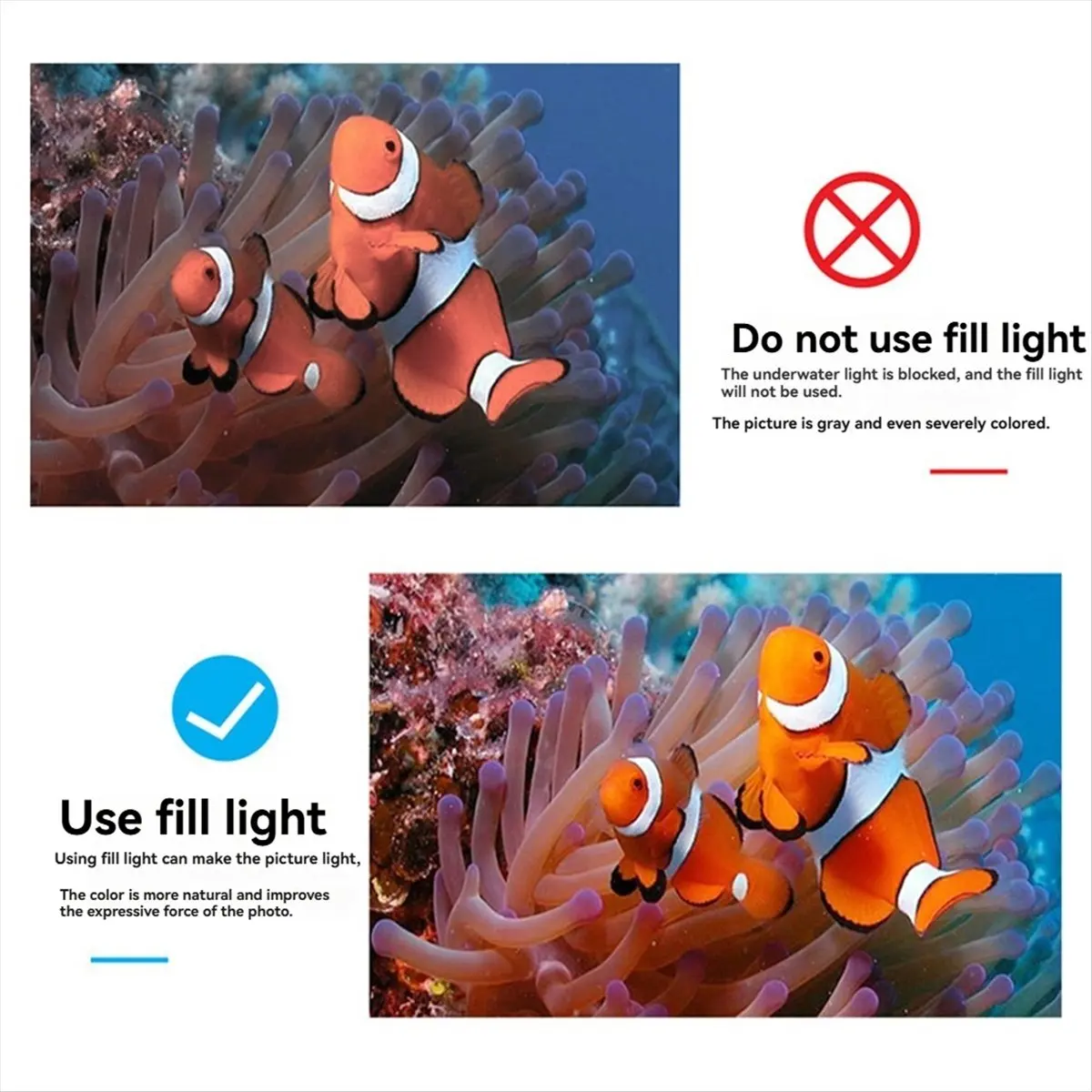 Portable SL-101 High-Intensity 1800LM LED Diving Light Waterproof 40m for for Underwater Video and Photography B