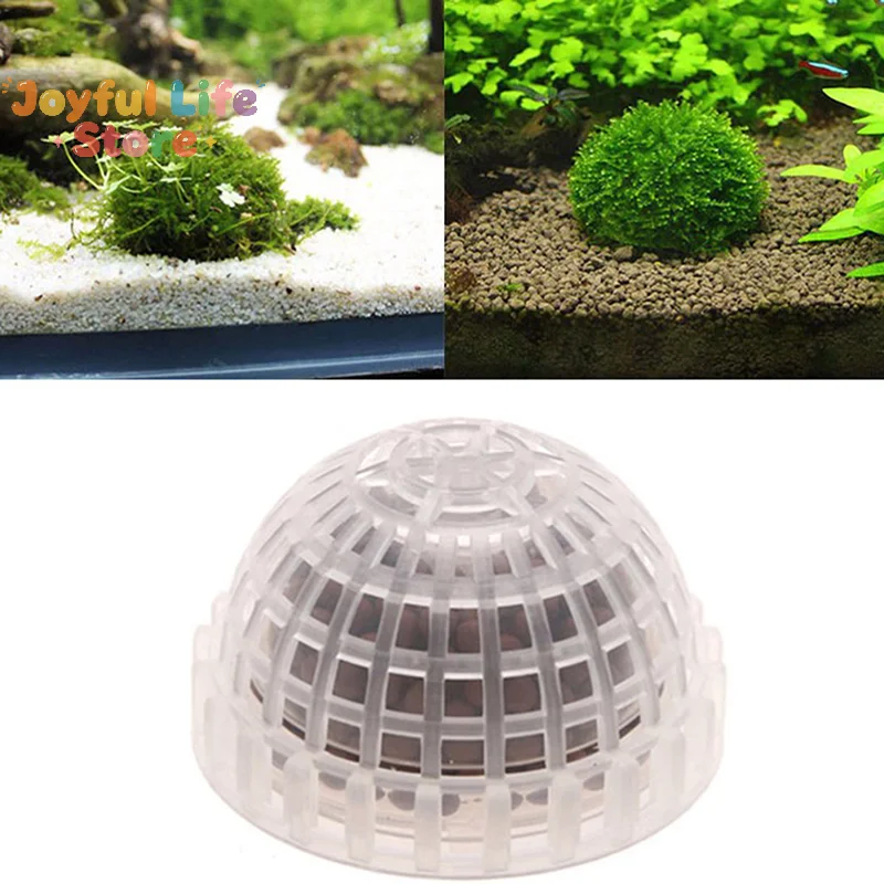 Aquarium Plants For Sale - 水槽用飾り物、水生ペット用品、モスボール、生きた植物、フィルター、ペットデコレーション、大セール中