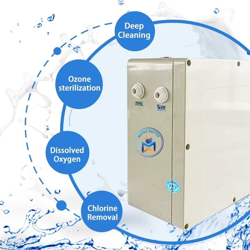 Micro-Bubble Water Ultrafine Bubble Generator 5L/min Capacity 500L/Hour Productivity