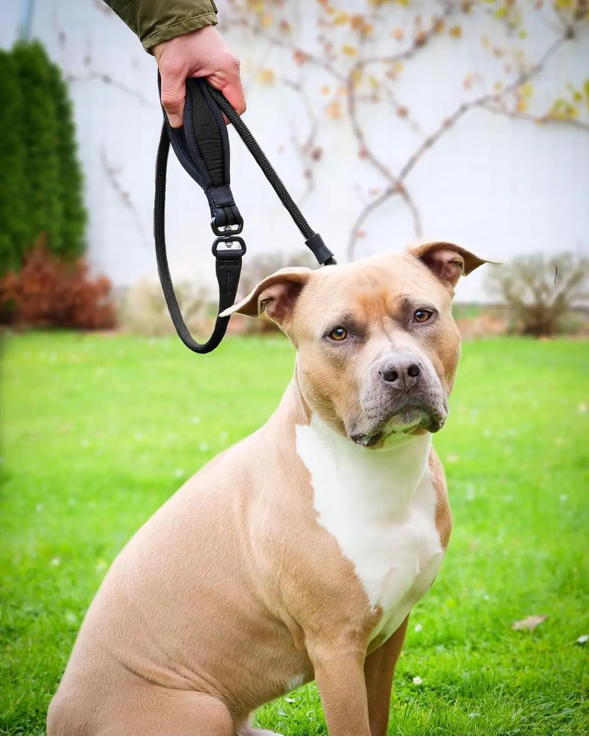 Nylon Slip Dog Leash 4FT & 6FT Training Lead 360 Swivel Anti-Tangle No Pull Rope for Small Medium Large Dogs Black, Customized