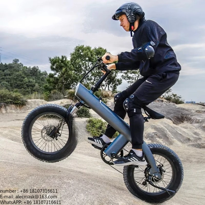 

Electric bicycle 20 inch folding city electric bicycle