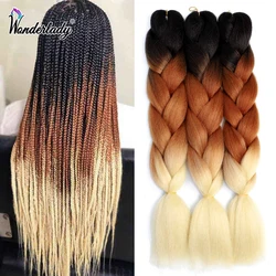 24inches Long Synthetic Braiding Hair Jumbo Braid Ombre Braiding Hair For African Braids Hair Extension 100g Packs WonderLady