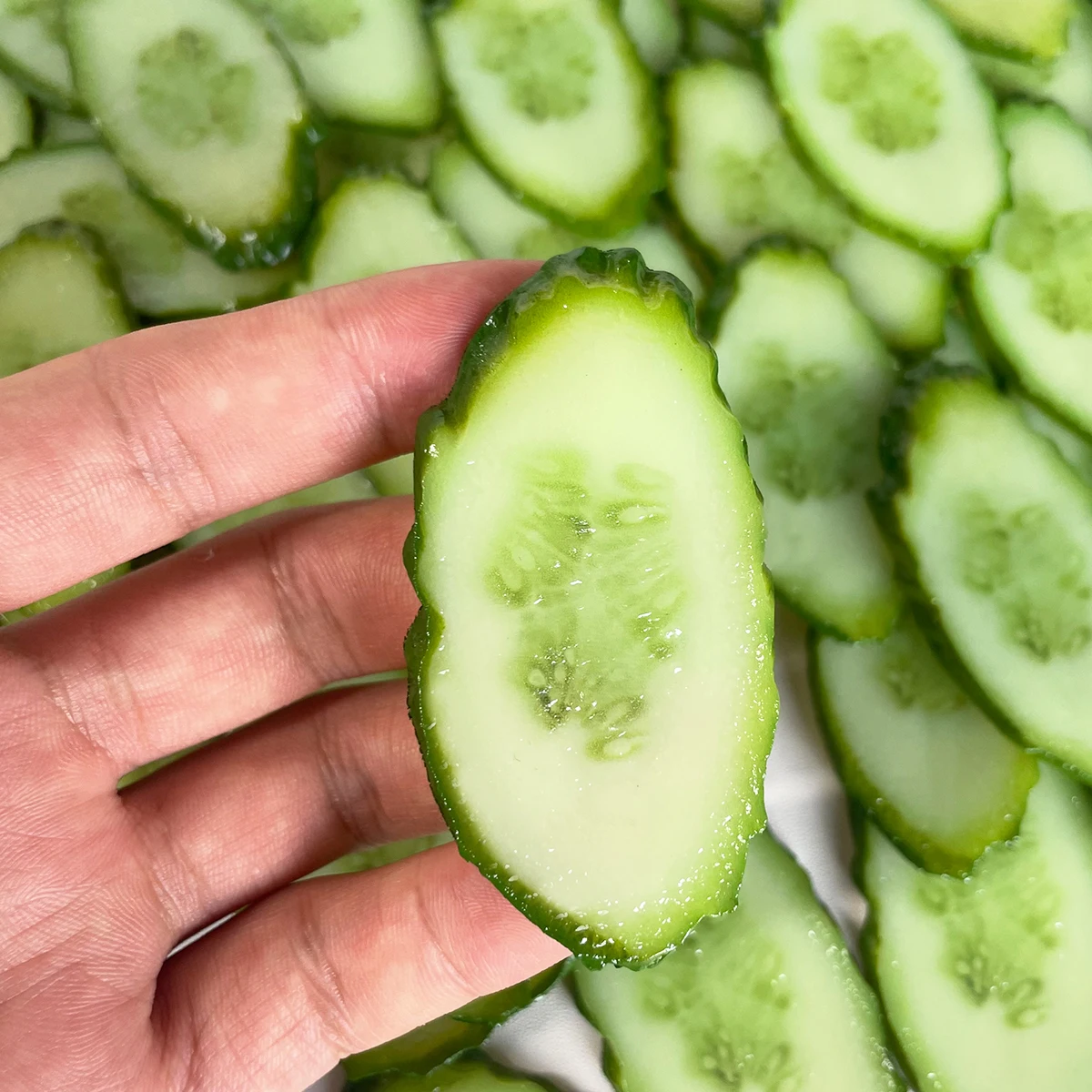 5-teiliges realistisches gefälschtes Gemüsescheiben-Set – PVC-Gurkente, Tomaten, Salat, Zwiebel für Lebensmittelfotografie, Präsentation, DIY-Handwerk – Detail 2