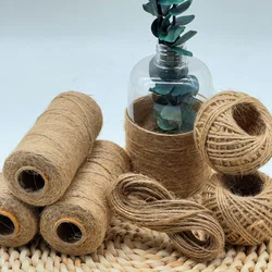 2mmx100m Natural Jute Twine | 8kg Load Bearing Waterproof Cord for Macrame Wall Hanging, Cat Scratching Post Wrapping