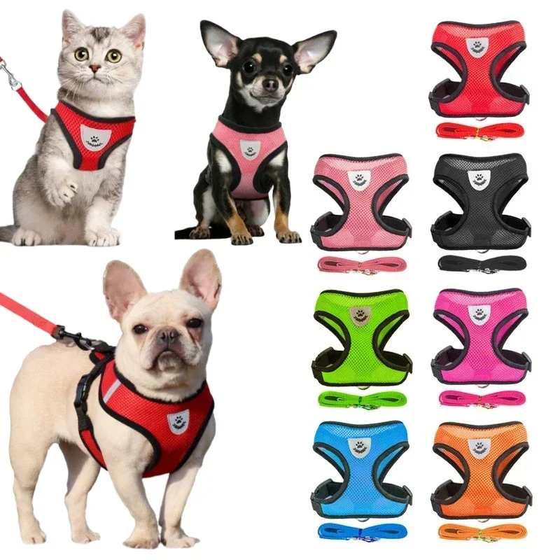 Katzen-Geschirrweste mit Leine für Welpen, Hundehalsband aus Polyester, verstellbares Netz-Hundegeschirr für kleine und mittelgroße Haustiere, Zubehör