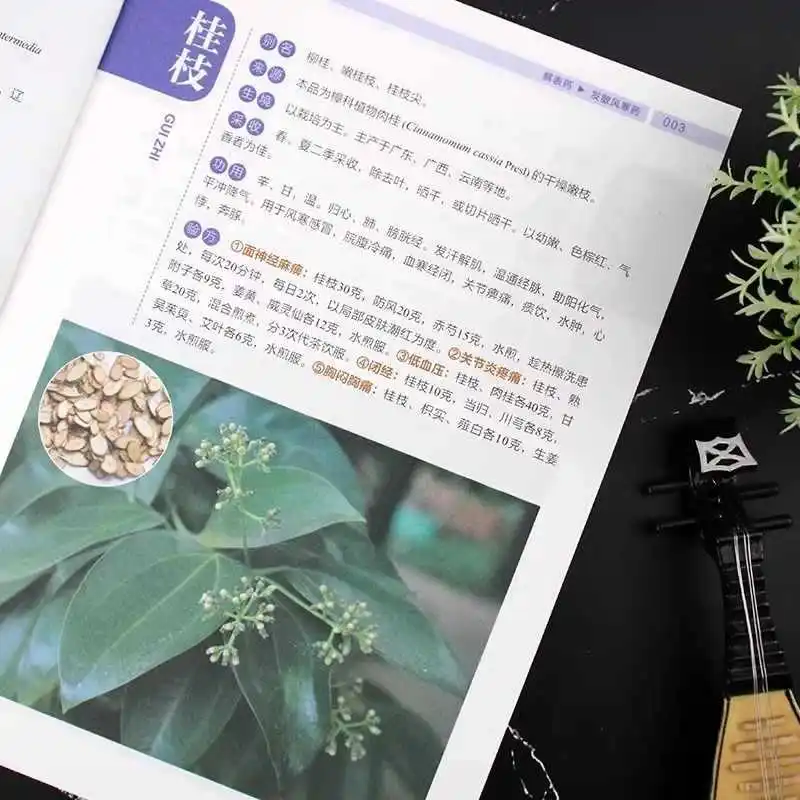 Practical Chinese Herbal Atlas and Application Manual, Colorful Version, Complete Collection of Chinese Herbal Medicines