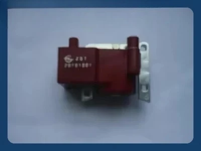 ignition coil for outboard motor Selva  ZONGSHEN  FOR 6/9.9/ 15/18/25/30  2 STROKE  universal