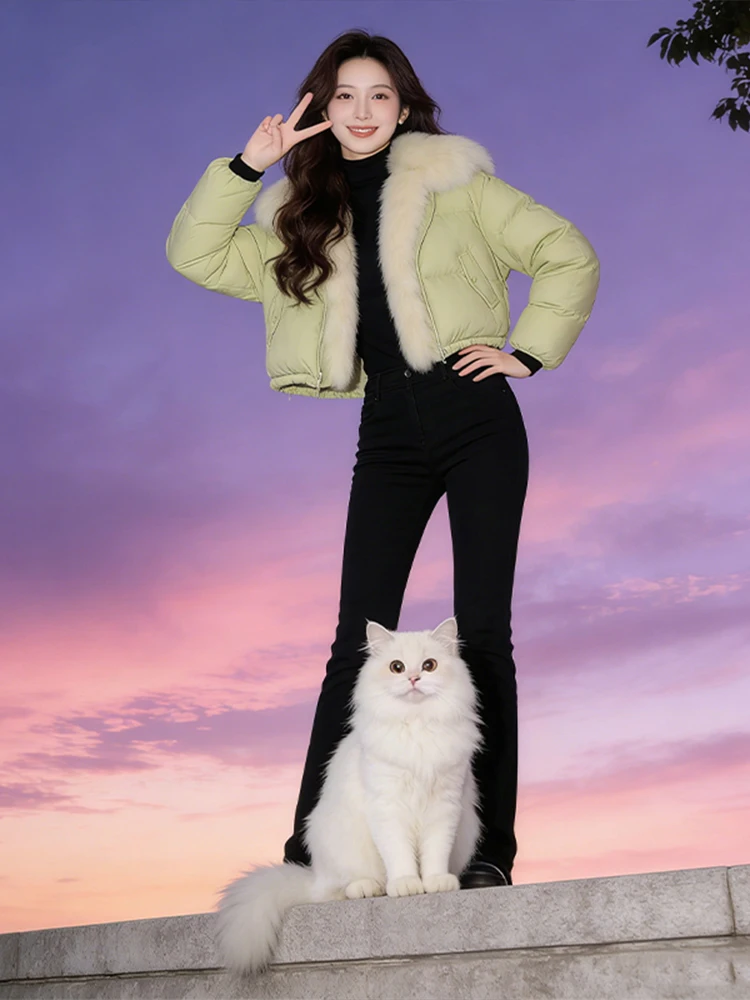 

Женская пуховая хлопковая куртка премиум-класса с застежкой-молнией и меховым воротником, теплая зимняя верхняя одежда в Корейском стиле, свободная посадка