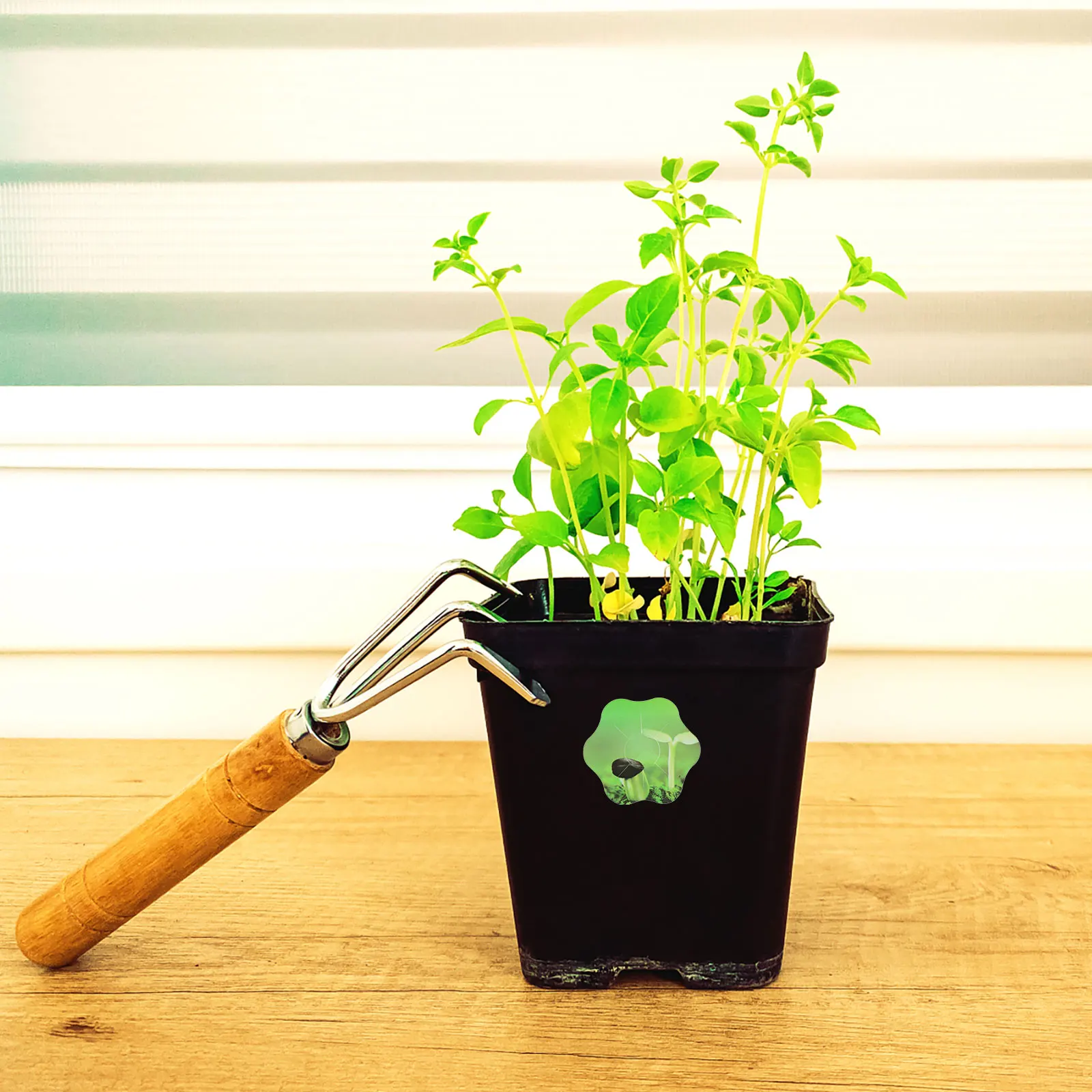 

10 Sheets PVC Plant Grow Labels Hydroponic Pot Stickers Seedling Markers Gardening Accessories Indoor Pots Supplies Smart