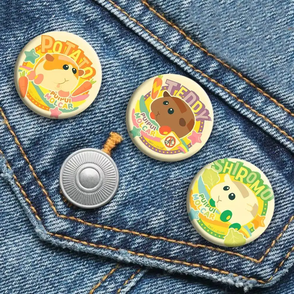 CUTE Pui Pui Molcar Cartoon Kawaii Round Laser Brooch Clothes Lapelnd