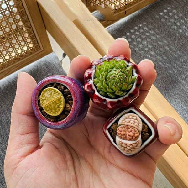 5Pcs Mini Succulent Flower Pot Colored Glaze Ceramic Breathable Flowers Pot Flowerpot Home Garden Mini Bonsai Potted Planting