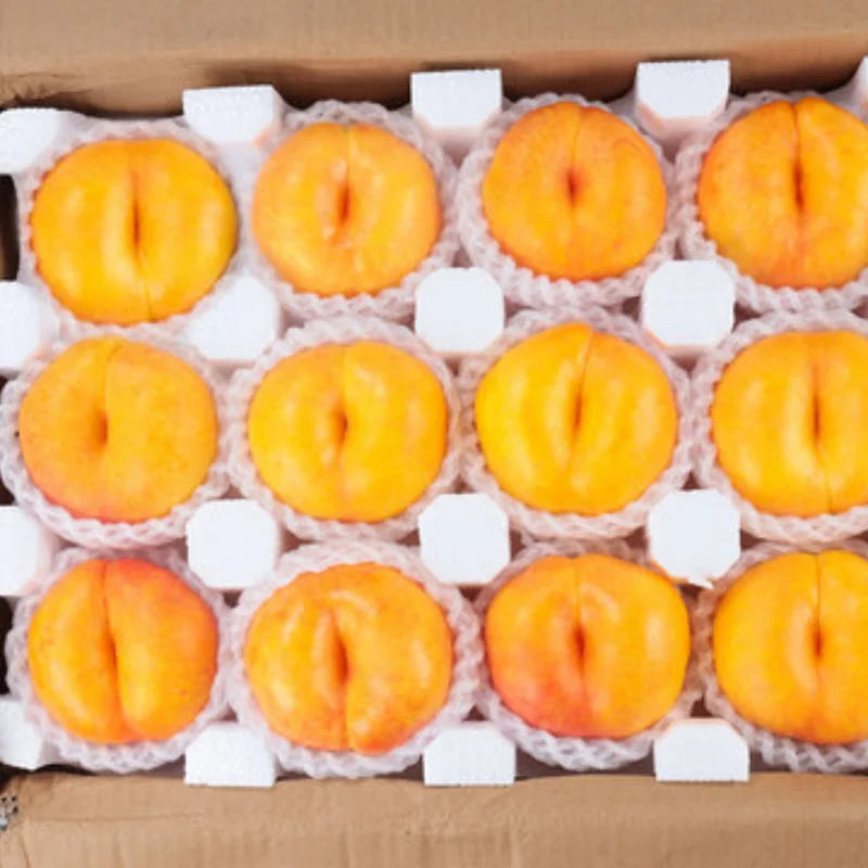 RC Short Course Truck Wheels 12  17mm Hex for 1/8 1/10 Scale RC Car Truck Monster ARRMA Trxs Slash HPI VKAR Redcat HSP