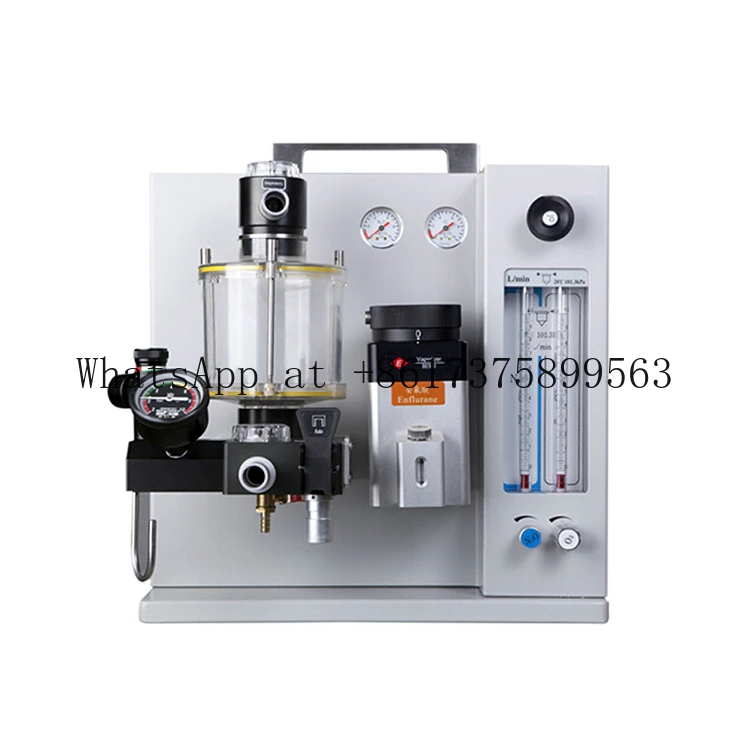YSAV 852 V Por Veterinary for Animal Clinical Use