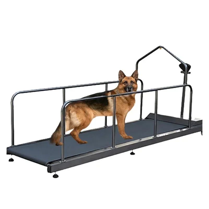 0.8-20km/h Pet Professional Electric Treadmill Dog Training Supplies Maximum Load 120kg Large Dog Treadmill 286*87*124cm