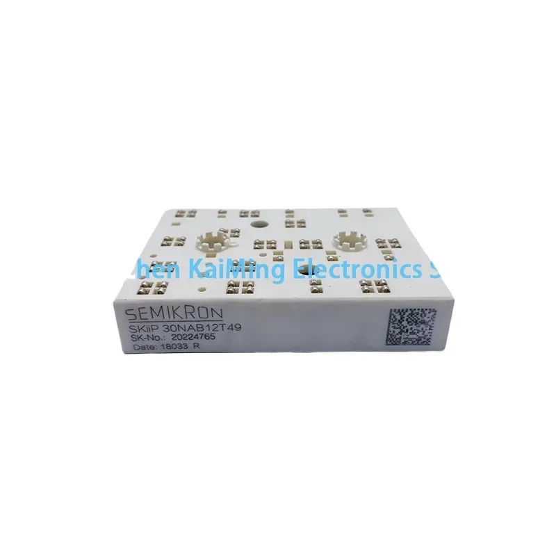 

SKIIP30NAB12T10 SKIIP30NAB12T49 SKIIP31NAB12T49 SKIIP31NAB12T10 SKIIP31NAB065T12 SKIIP32NAB12T7 SKIIP32NAB125T12 SKIIP30NAC12T