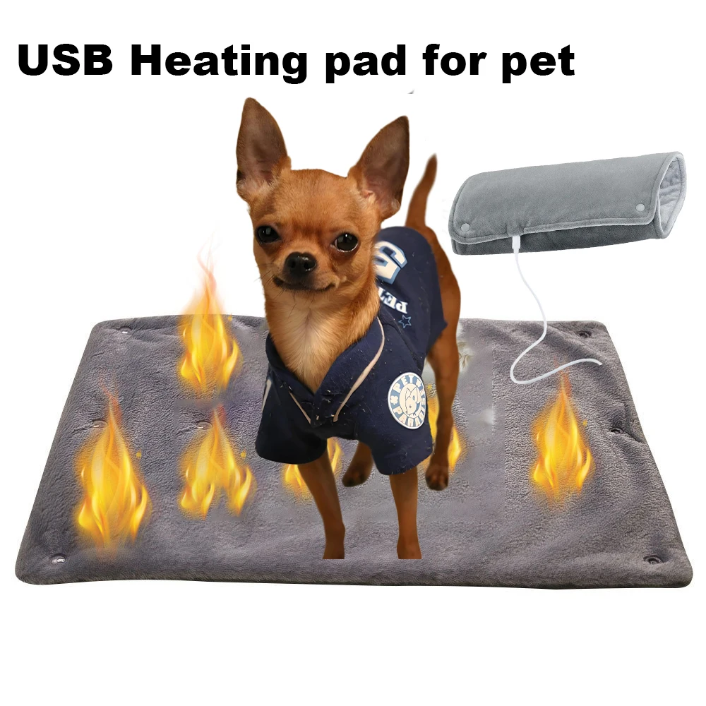 Winter Pet Heating …