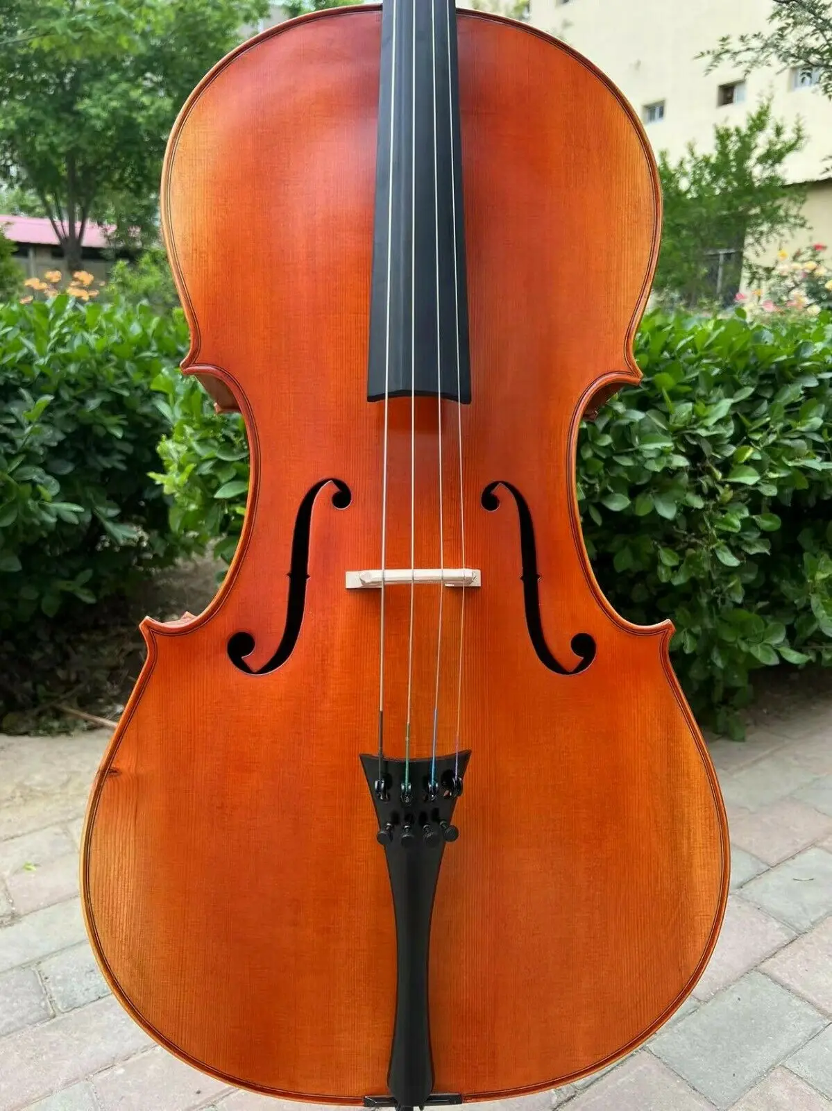 Strad style SONG Brand \