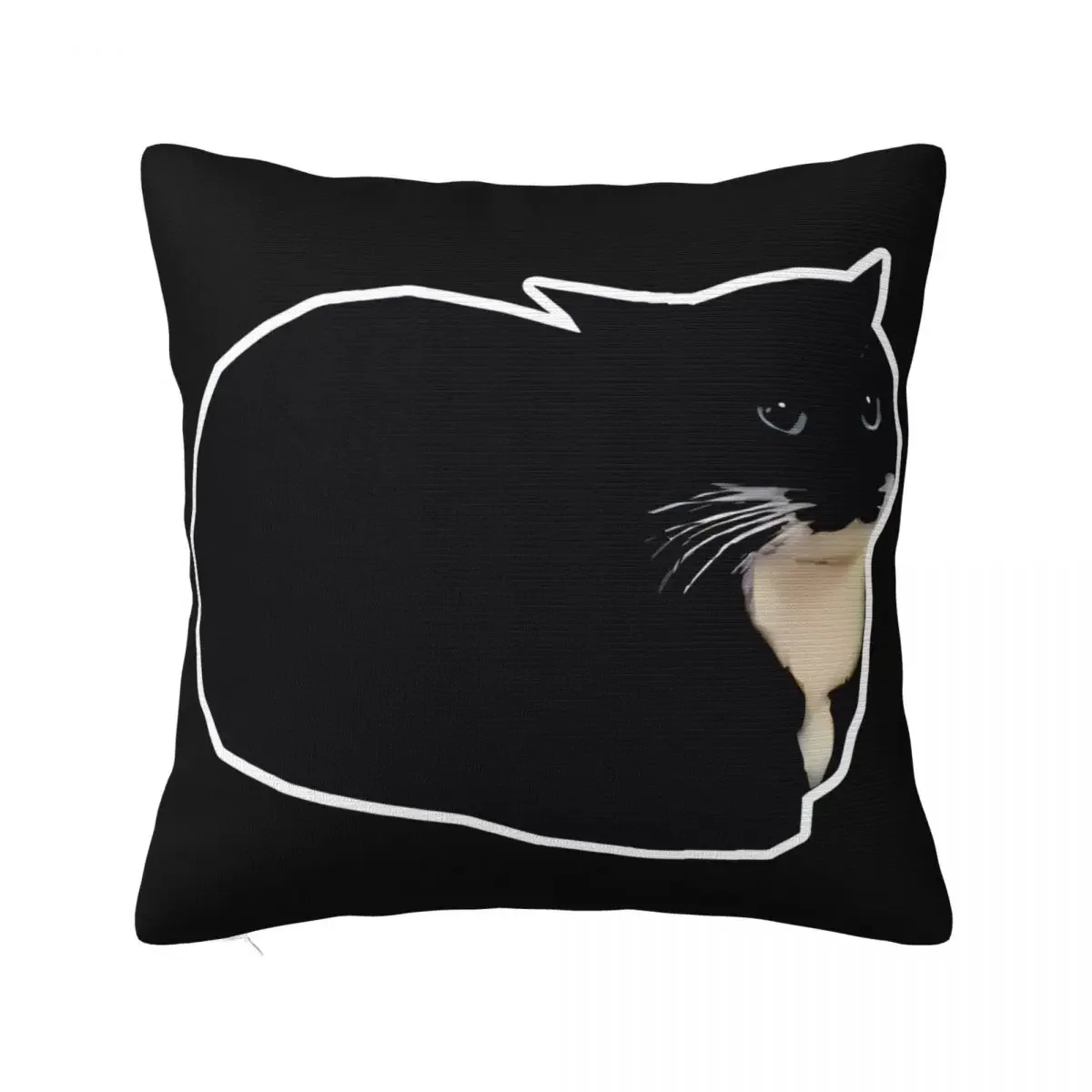 

Dark Spinning Cat Meme Maxwell The Cat Meme Pillow Case Home Decoration Decorative Pillowcase Pillow Case Pillow Cover