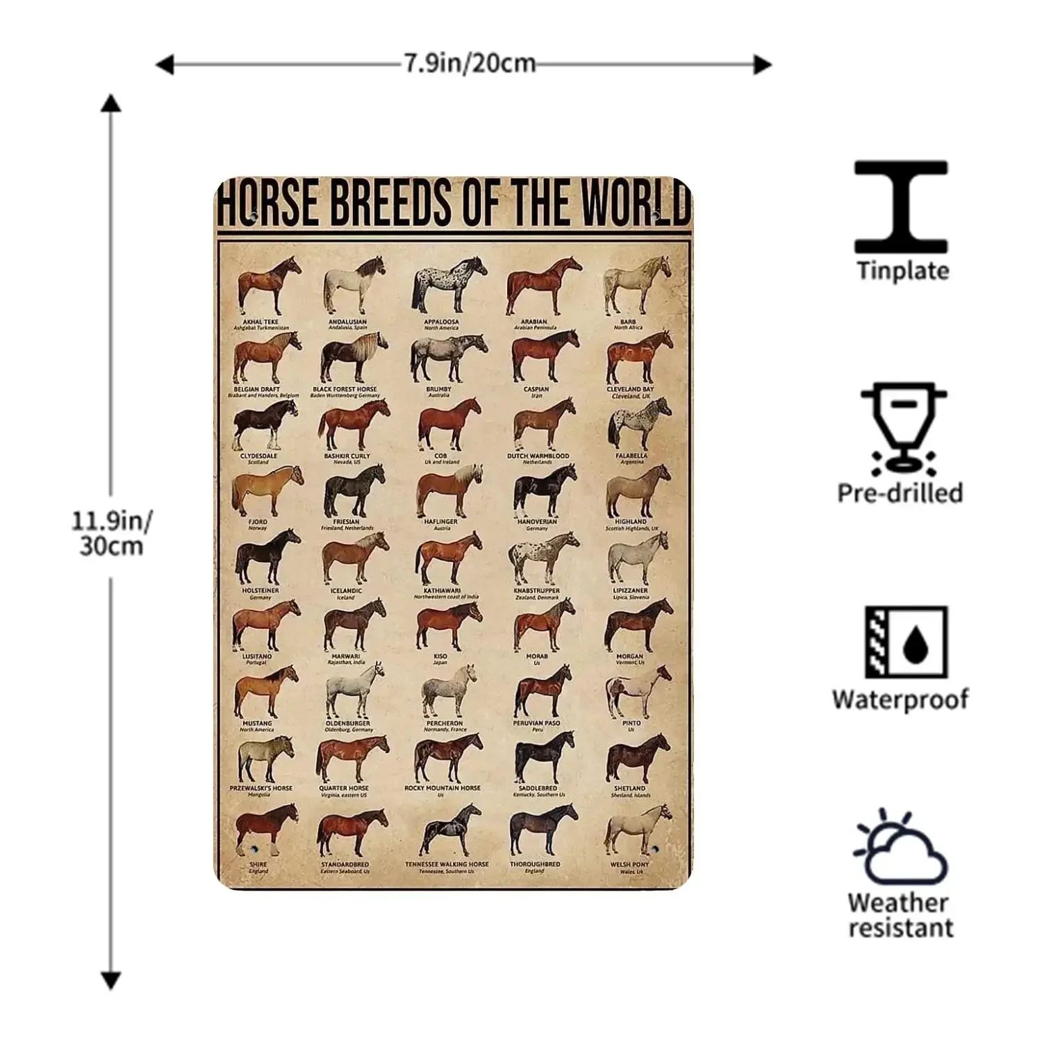 말 해부학 포스터 주석 금속 플라크 및 간판 벽 장식, 캡틴 포스터, 빈티지 장식, 바, 펍, 클럽, 벽 장식