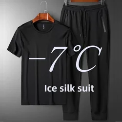 Zomer sneldrogend hardloopsportpak korte mouwen T-shirts heren casual ijszijde 2-delige set