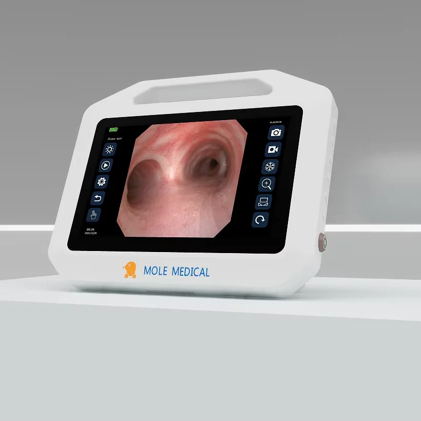 

Touchable 10Inch Portable Medical Equipment Multiparameter Veterinary Patient Monitor Smart Portable Monitor