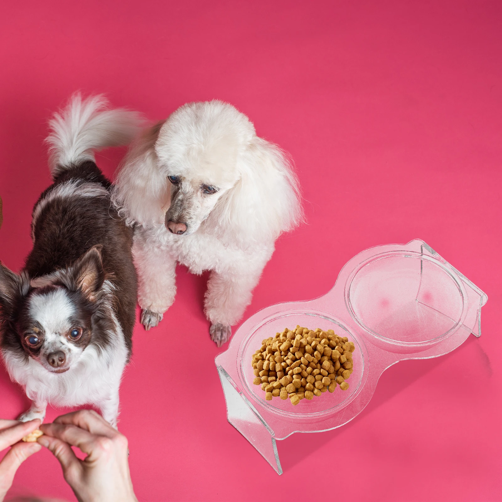 

Pet Double Bowl Food Cat Dog Bowls Acrylic Transparent Cats Puppy Elevated Safe Eco Friendly High Density Practical Easy Cleanup