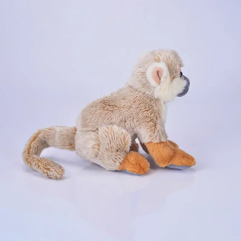 [Engraçado] zoológico 43cm simulação realista esquilo macaco brinquedo de pelúcia macaco macio animais de pelúcia boneca aniversário presente de natal para crianças