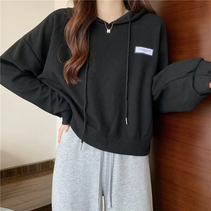 Long Sleeve Spring and Autumn Woman Hooded Tops Y2k Japanese Streetwear 2000s Sweat-shirt Sport Emo Hoodies Sweatshirt for Women