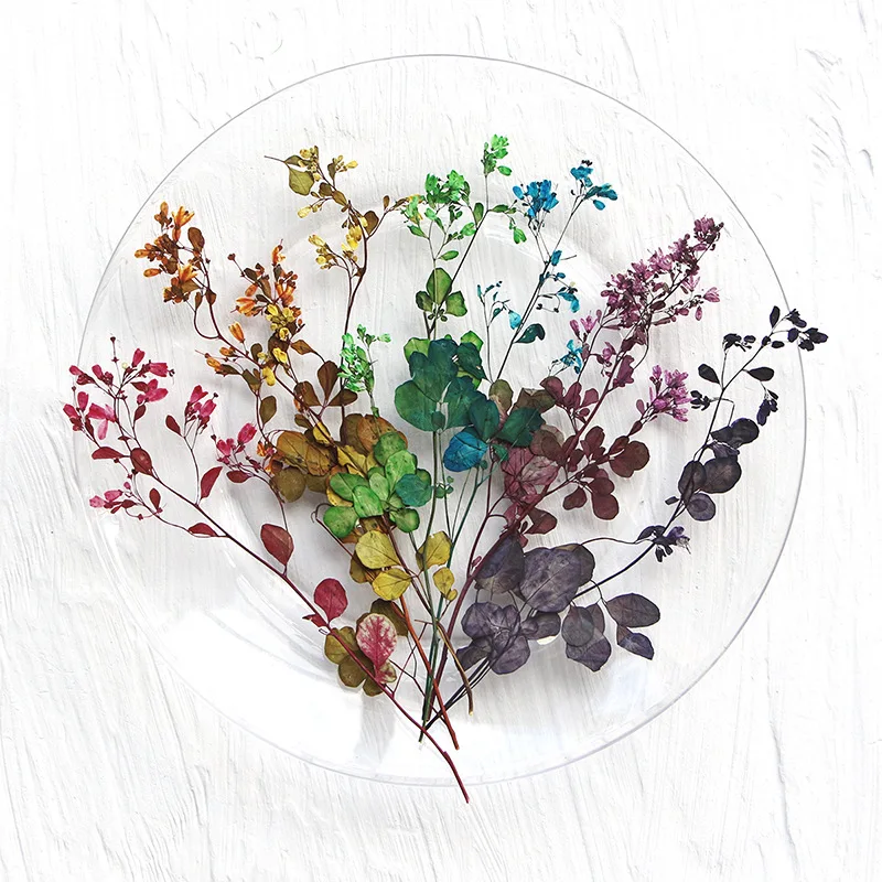 60 pièces de branches de bourgeons de pin multicolores, fleurs séchées et pressées, spécimens végétaux pour lampe de table, kit de matériaux DIY pour éventail de fleurs, spécimen pour cadre photo et coque de téléphone