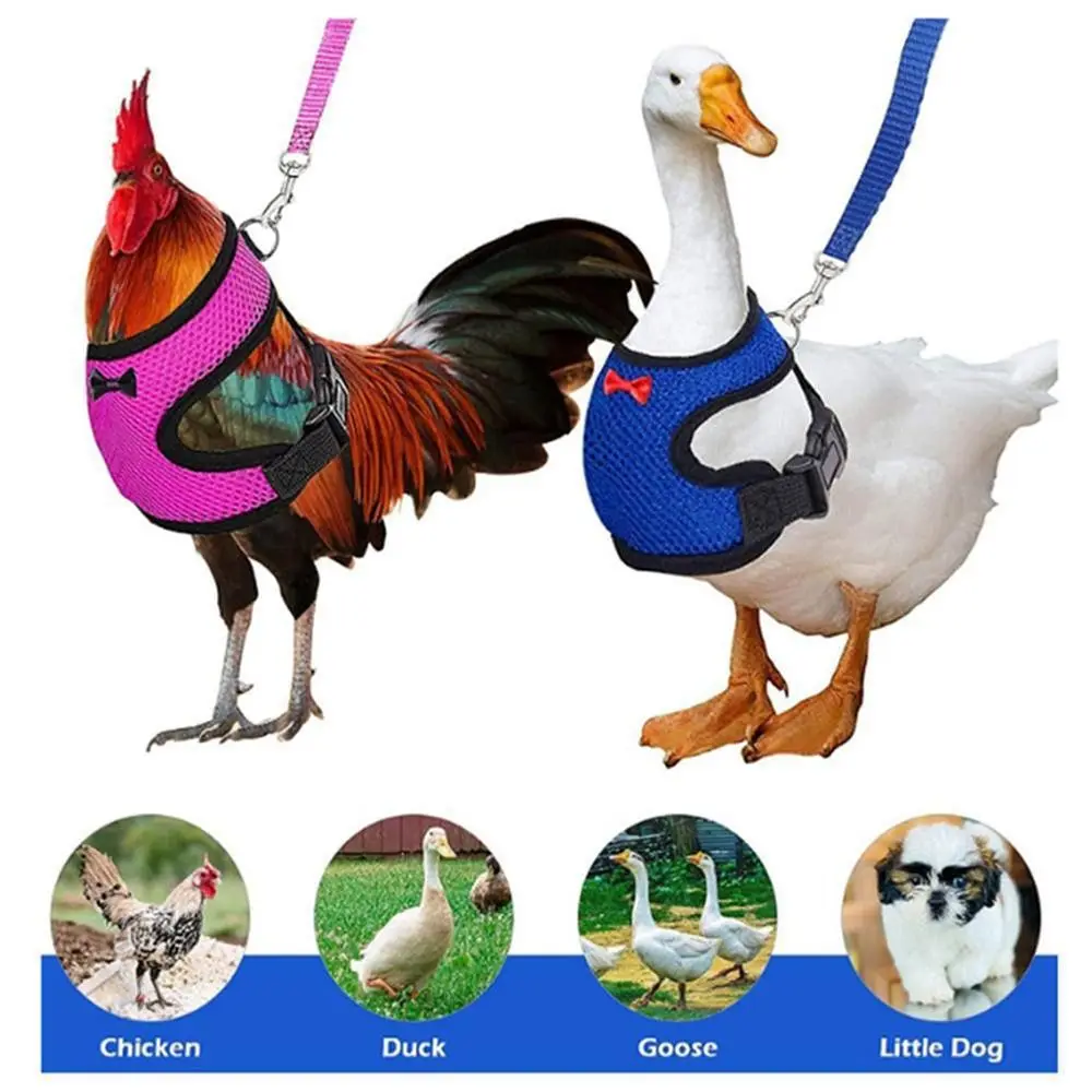 Portable Breathable Adjustable Duck Chicken Harness Matching Collars Comfortable Duck Vest Soft Bow Hen Belt Duck