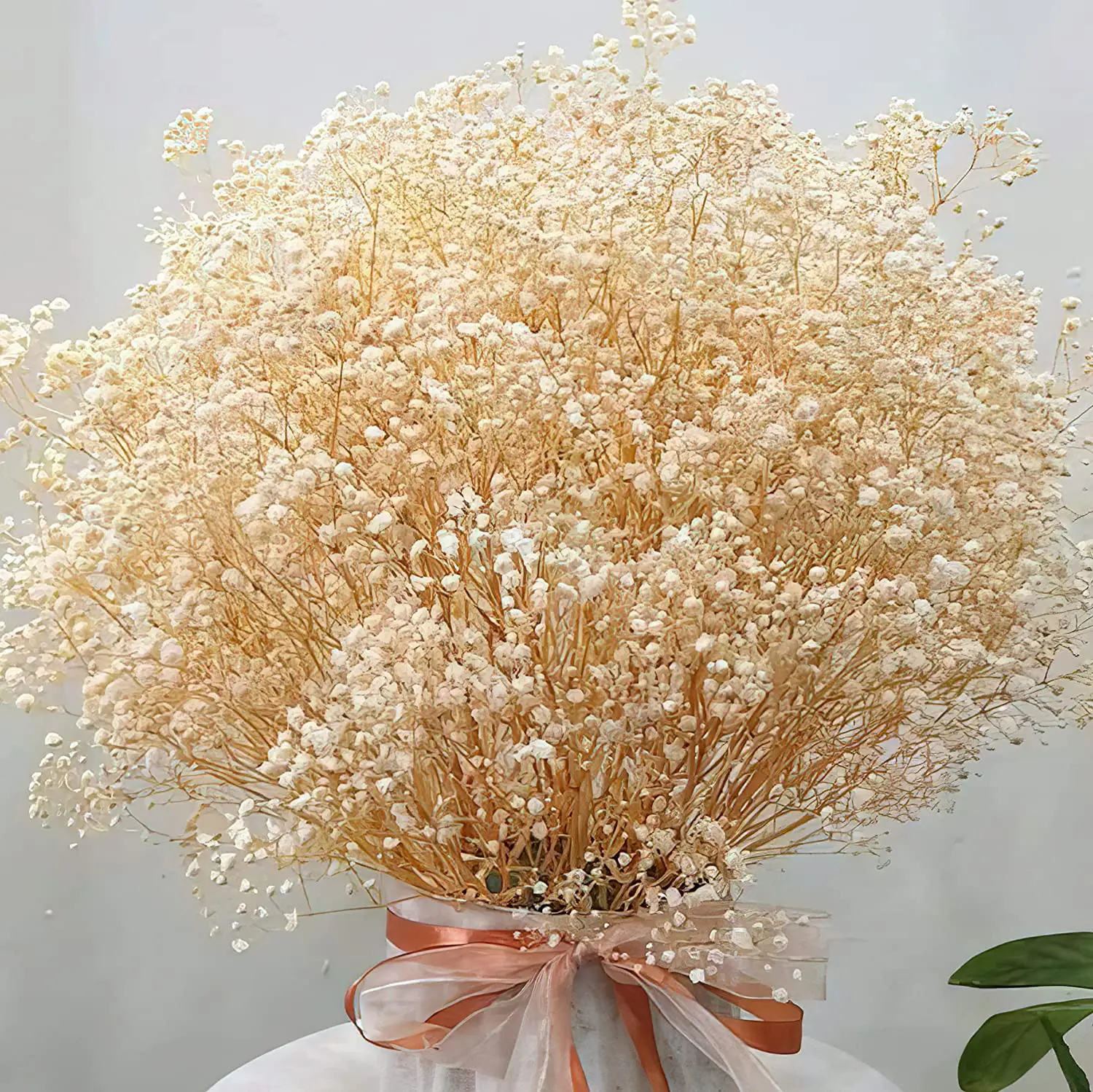 

Dried Flowers Babys Breath Bouquet Ivory White Flowers Natural Gypsophila Branches for Home Decor Wedding Flowers Bulk for Vase