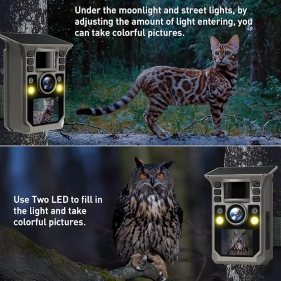 description