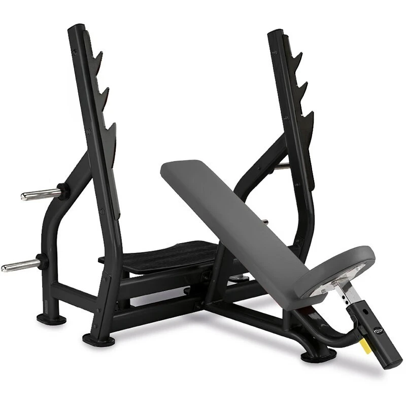 Upward sloping weight bed Commercial gym Recumbent barbell weight lifting bench press training rack