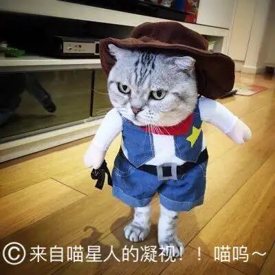 Western denim jacket Pet Dog Cat Costume Cowboy Jeans Hoodie Shirts Halloween Costume Jumpsuit Puppy Clothes Funny Coat