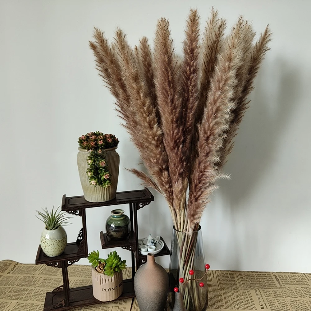 Small-Reed Pampas Grass Dried Flowers Multi-Purpose Decorative Ornaments For Wedding