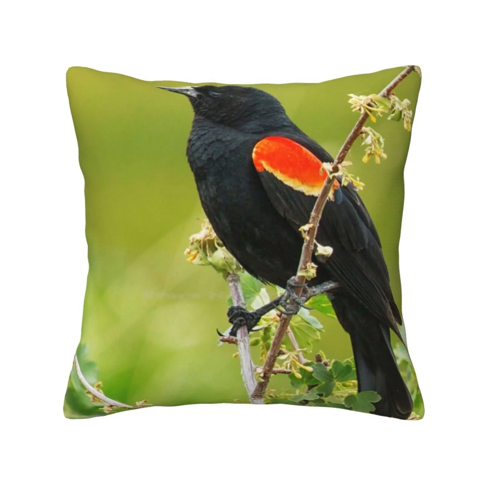 Male Red-Winged Blackbird Pillows Case Bedroom Home Decoration Blackbird Birds Birdwatching Nature Marsh Bird Animal Avian Bird