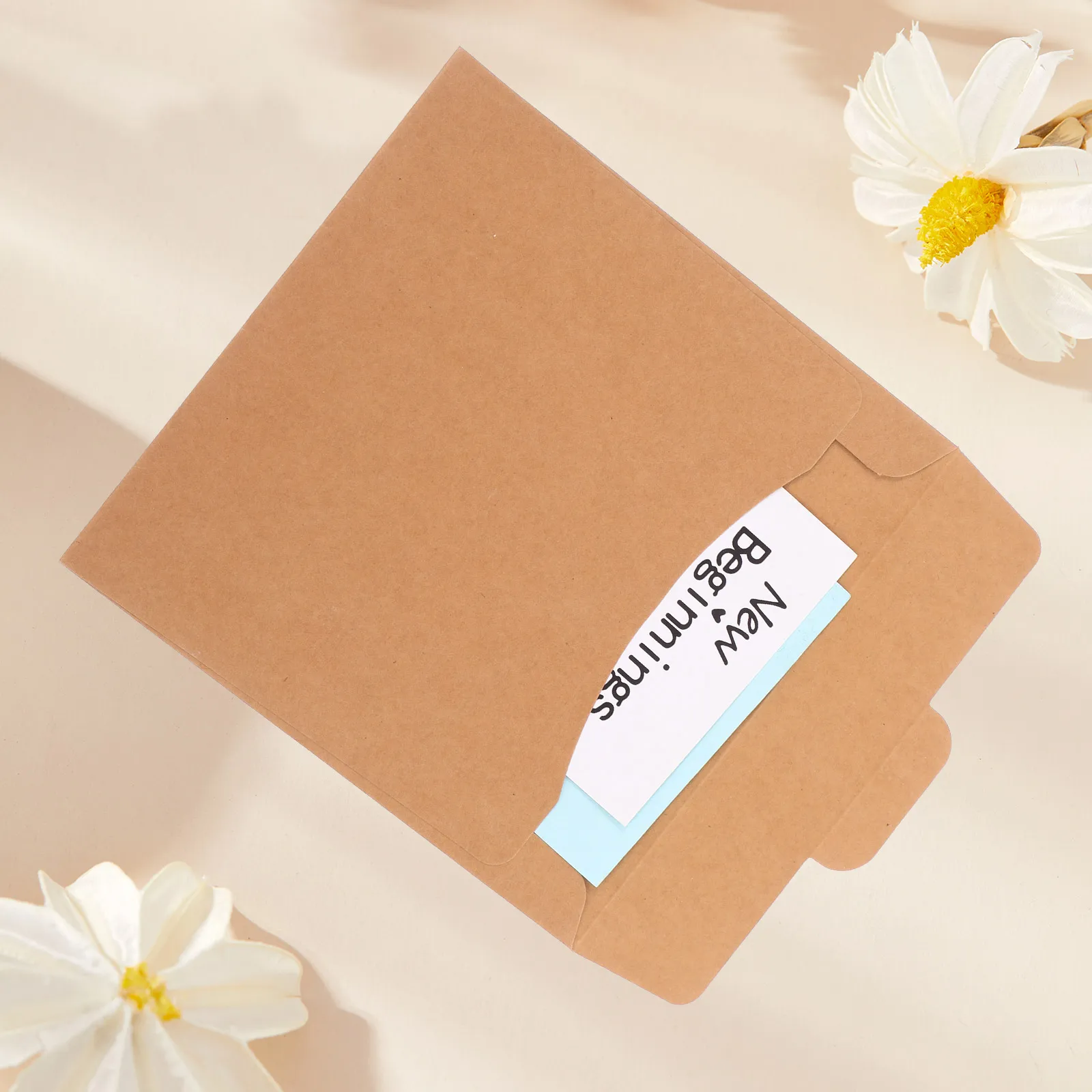 50 Pcs CD Bag Holder Sleeves Outer Blank Cases Dvd Envelopes Mailers Business Card