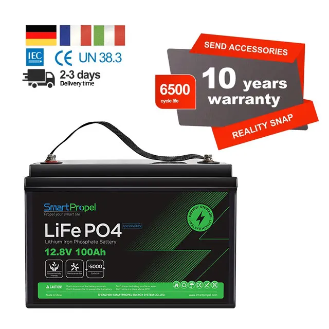 

2025 hot sale In Stock 12V 100Ah Lithium Ion LiFePO4 Solar Battery Pack 12V 24V 48V 100Ah 200Ah 300Ah 400ah 12.8V
