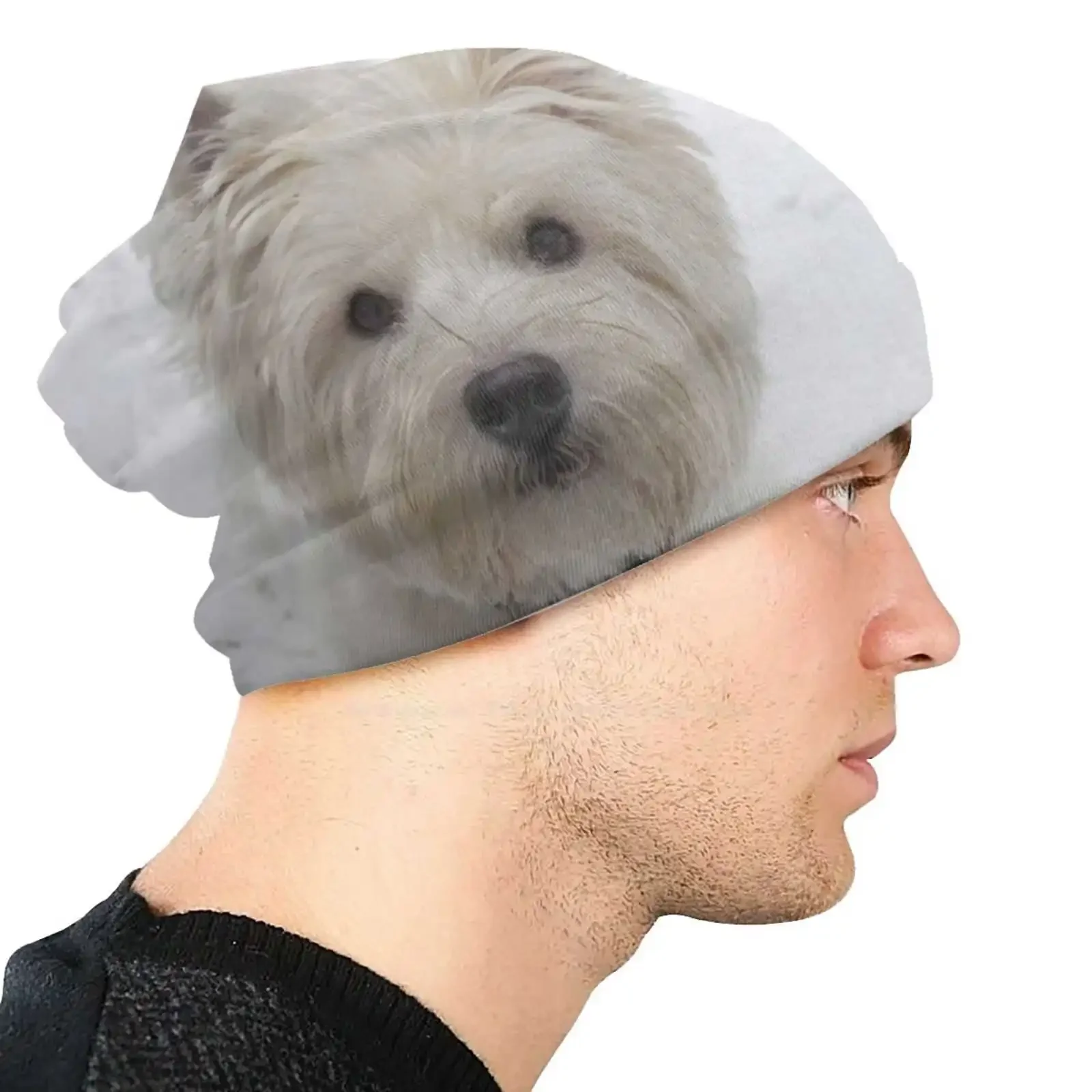 Westie-gorro de punto blanco cálido para exteriores, gorros para Perros West Highland, White Terrier, Westie, CNET, Animal para mascotas, Escocia