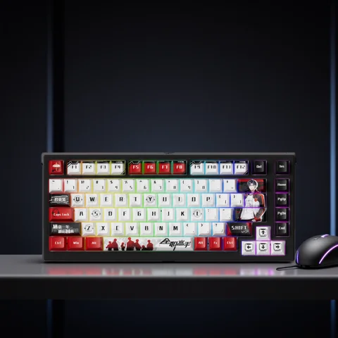 AKKO TAC75 HE Magnetic Switch Keyboard 75% Gaming Keyboards Rapid Trigger 0.005mm 8K RGB Wired Esports Custom Keyboard for Gamer