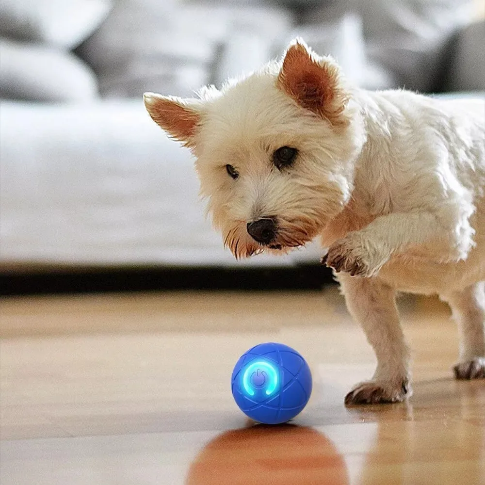 TJavier-Balle intelligente pour chien et chat, jouet coule, artefact rebondissant, LED, instituts d'ennui, chats et petits chiens