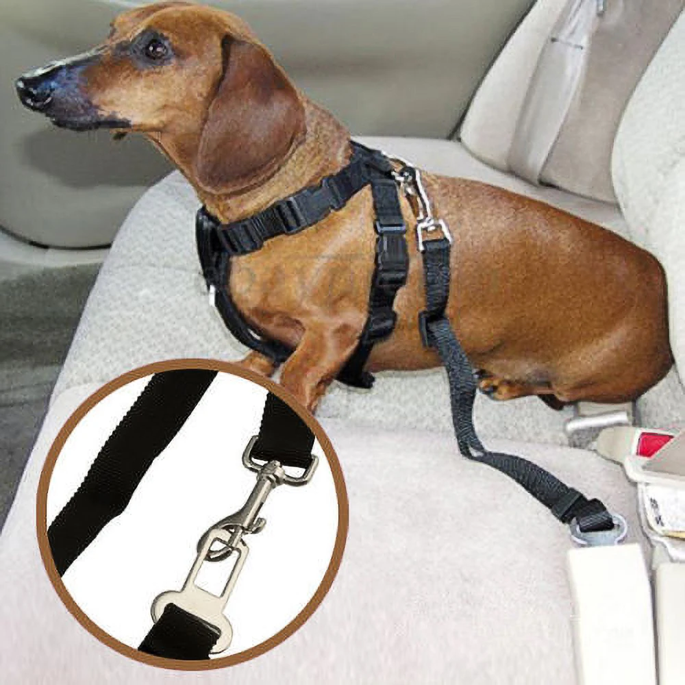 

Adjustable Car Pet Dog Seat Belt Pet Towing Rope For Mercedes Benz R Class W251 GLK X204 S W220 W221 Auto Interior Accessories