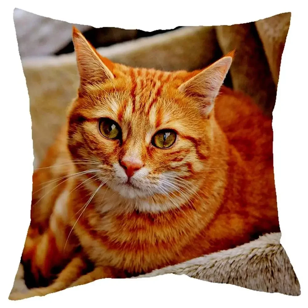 Cute little Lazy cat series living room sofa decoration cushion cover bed children\'s  home  pillowcase